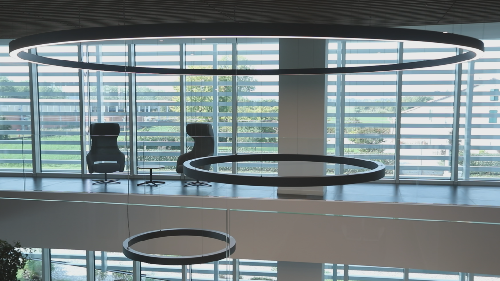 Transfer Oil - Company Profile